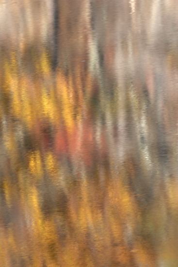 Fort Payne;Alabama;Little River Canyon National Preserve;Textures;Shapes;Patterns;Abstractions;Abstract;Reflections;Reflection;Autumn;Seasons;Fall